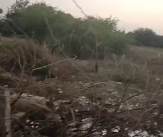 Near-Kirungakottai-Temple