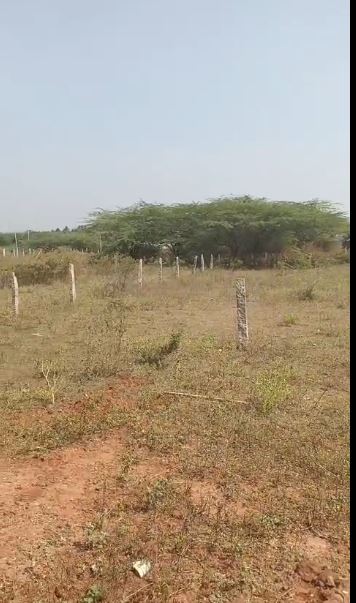 S11 – Near Ravibala