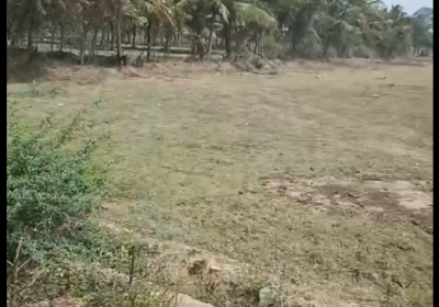 Screenshot-2026-02-03-170636