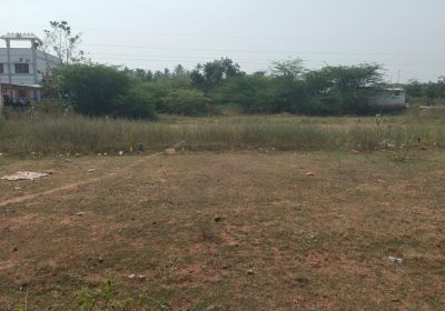 WhatsApp-Image-2026-02-03-at-11.36.38