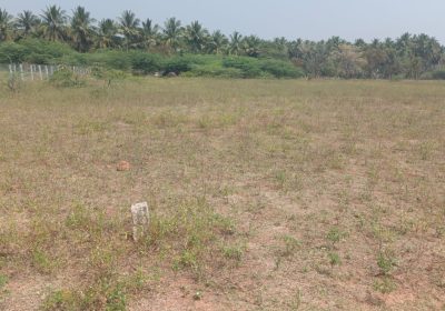 WhatsApp-Image-2026-02-03-at-11.50.45