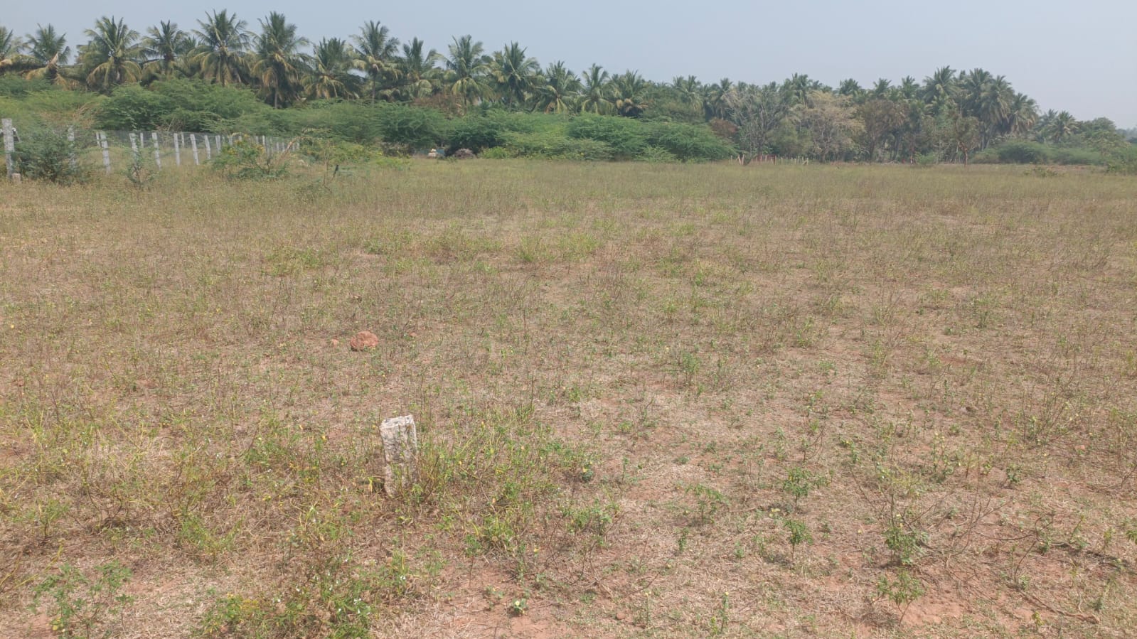 S3-Near Police Station