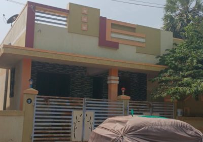 WhatsApp-Image-2026-02-03-at-12.11.30