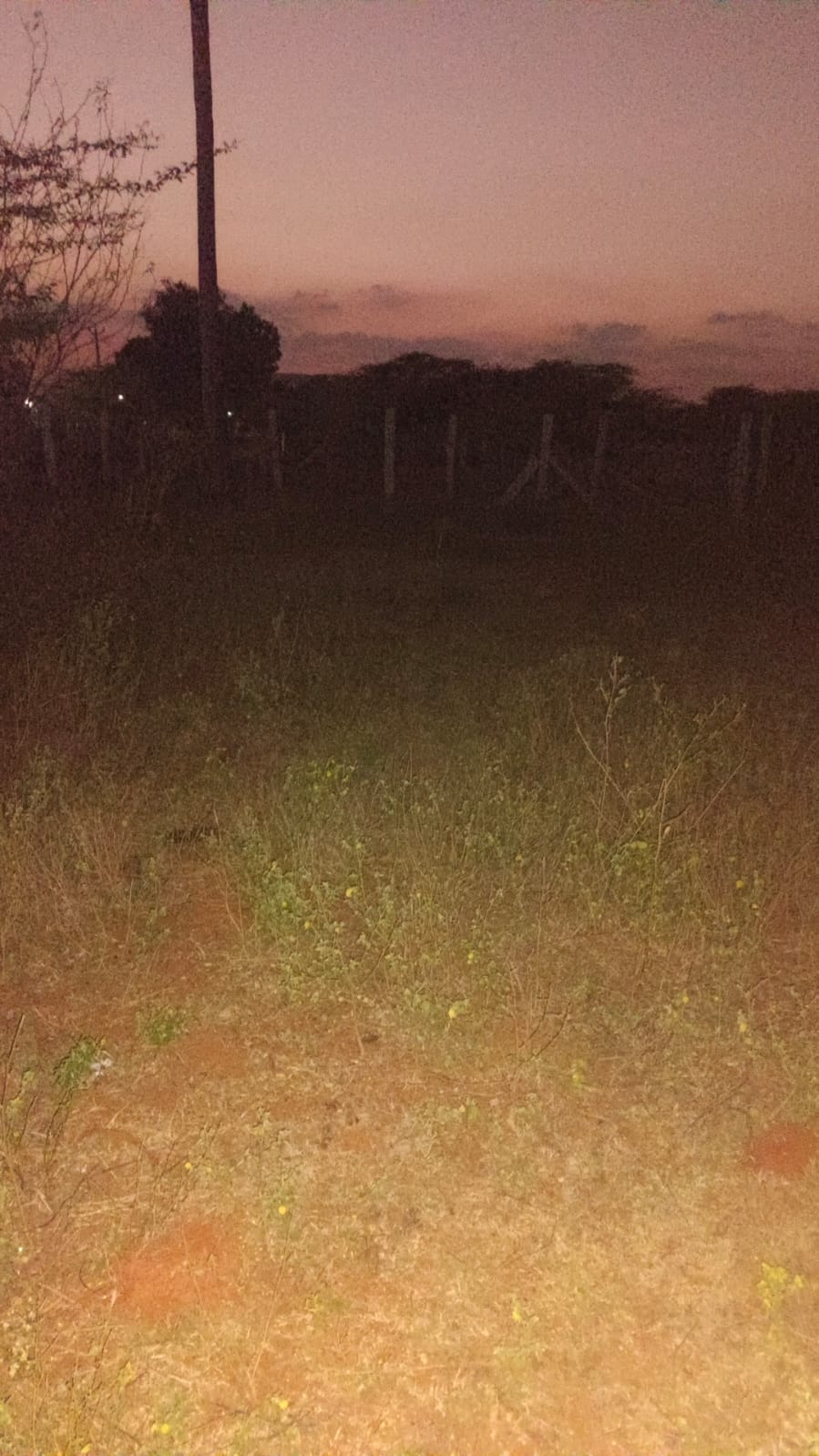 S23- முத்தையா காலனி