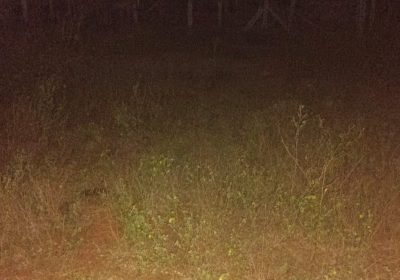 WhatsApp-Image-2026-02-05-at-10.41.52-AM