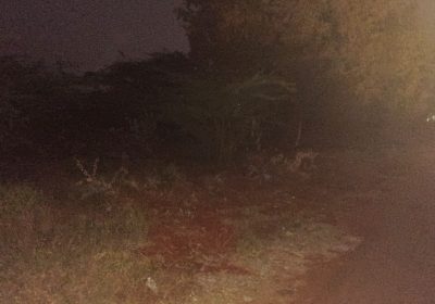 WhatsApp-Image-2026-02-05-at-10.43.07-AM