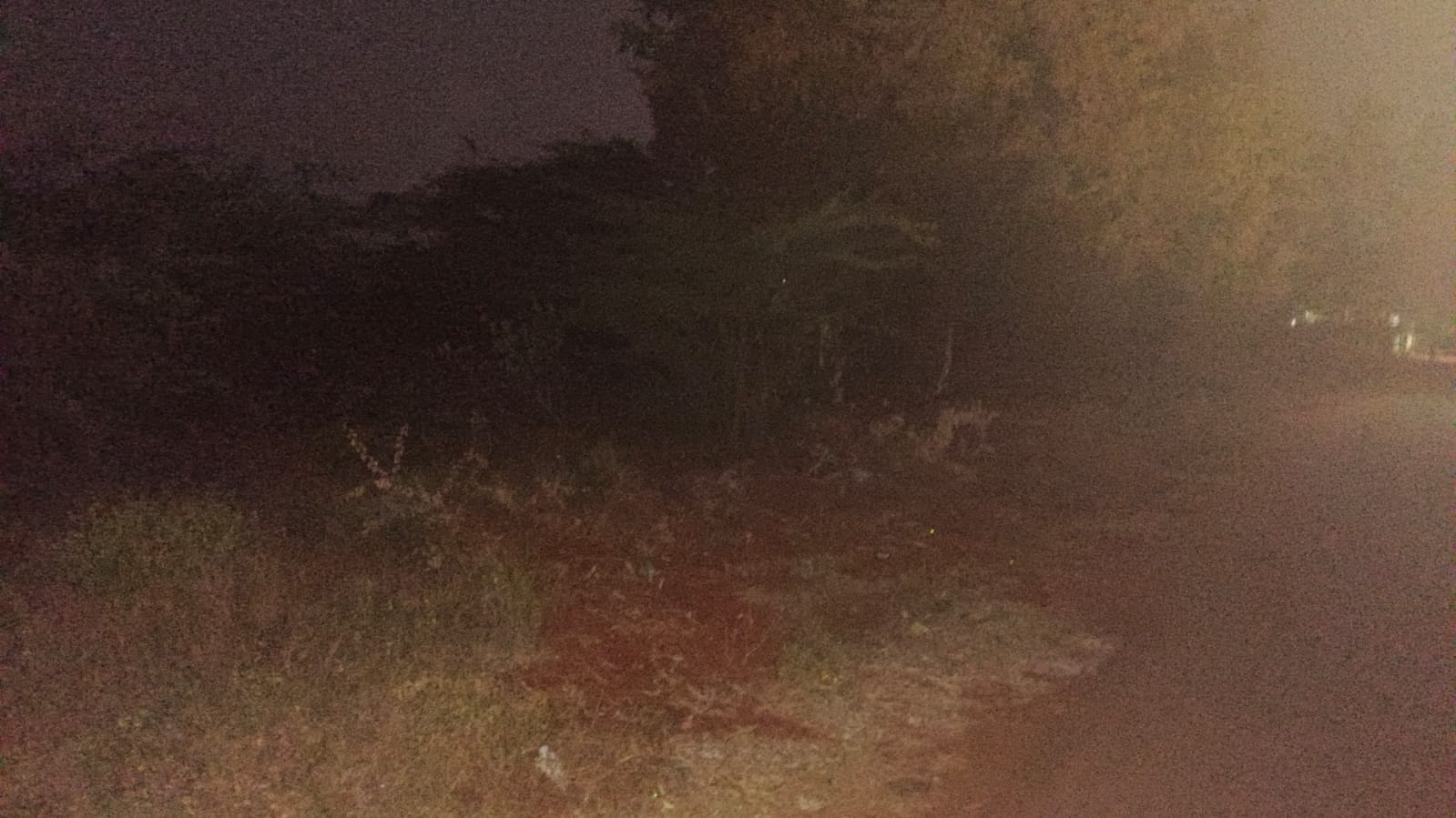 S24- முத்தையா காலனி