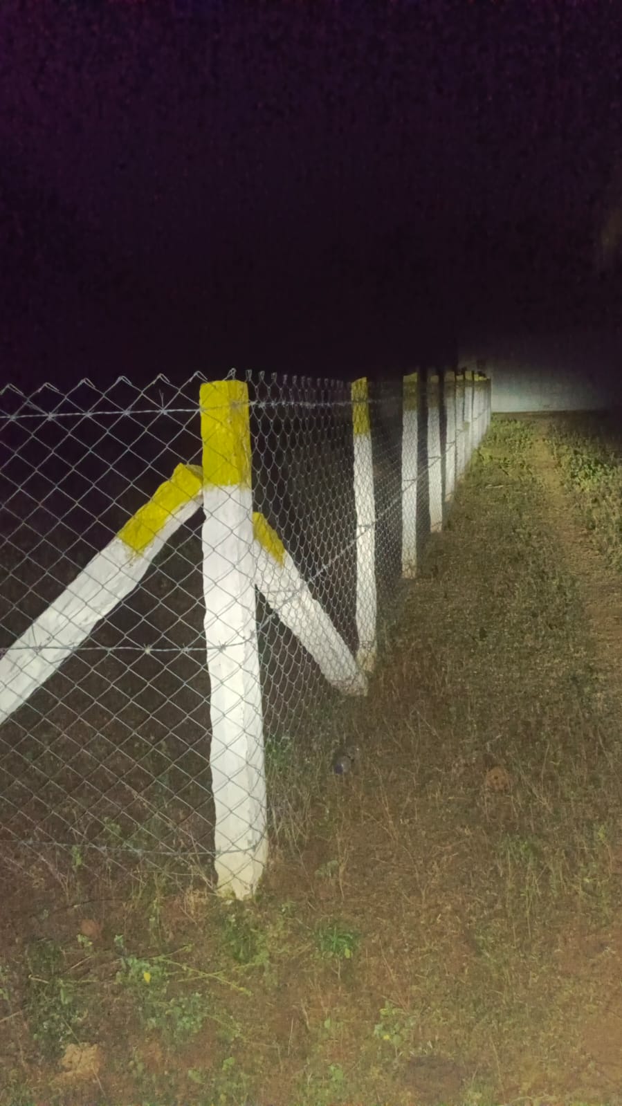 S26- தேனம்மாள் நகர்