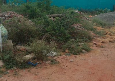 WhatsApp-Image-2026-02-05-at-11.35.39-AM