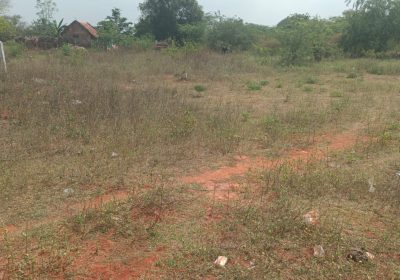 WhatsApp-Image-2026-02-05-at-11.58.12-AM